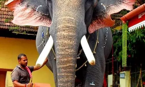 ചിറക്കടവ് ക്ഷേത്രത്തിൽ ഇന്ന് പള്ളിവേട്ട ചിറക്കടവ് ക്ഷേത്രത്തിൽ ഇന്ന് പള്ളിവേട്ട