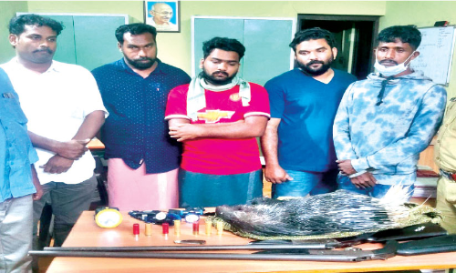 മു​ള്ള​ൻ​പ​ന്നി​യെ വെ​ടി​വെ​ച്ച് പി​ടി​ച്ച കേ​സി​ൽ അ​ഞ്ചു​പേ​ർ അ​റ​സ്റ്റി​ൽ