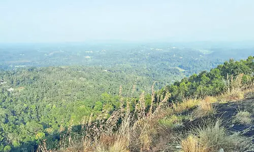 സാഹസിക സഞ്ചാരികളുടെ മനം കവർന്ന് വലിയപാറ
