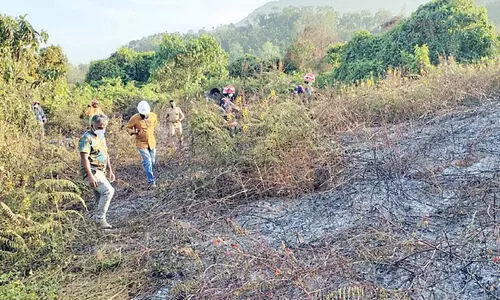 ബാ​ണാ​സു​ര ഡാം ​റി​സ​ർ​വോ​യ​ർ ഭാ​ഗ​ത്ത് വ​ന്‍ അ​ഗ്‌​നി​ബാ​ധ