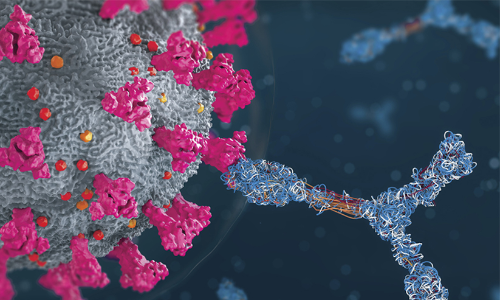 1647​​​ പേർക്കു​കൂടി കോവിഡ്; ഒരു​ മരണം