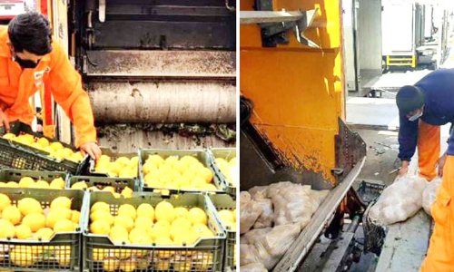 ഭക്ഷ്യയോഗ്യമല്ലാത്ത പഴവർഗങ്ങൾ നശിപ്പിച്ചു