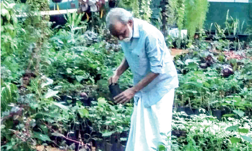 അമൂല്യ ഔഷധസസ്യ ശേഖരവുമായി നാരായണന് അമൂല്യ ഔഷധസസ്യ ശേഖരവുമായി നാരായണന്