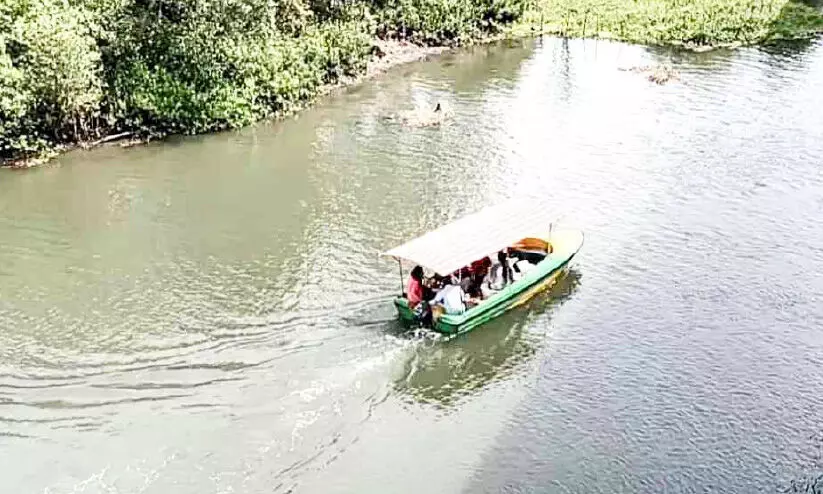 നെട്ടൂരില്‍ അനധികൃത ബോട്ട് സര്‍വിസ് തകൃതി