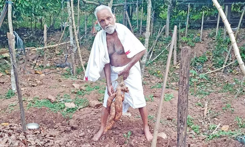 varghese chettan 26122 varghese chettan 26122