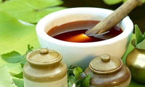 ayurveda course