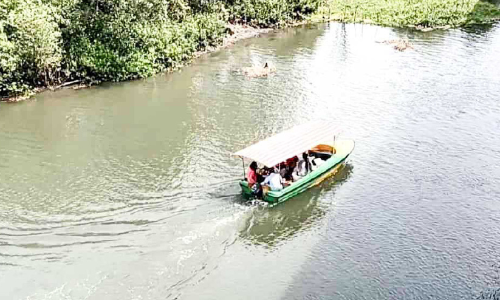 നെട്ടൂരില്‍ അനധികൃത ബോട്ട് സര്‍വിസ് തകൃതി