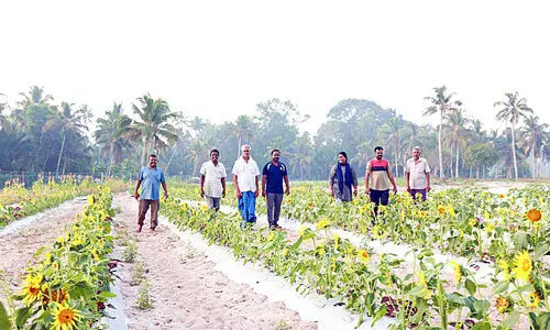 കാഴ്ചയുടെ പുതുവസന്തം തീർത്ത് തിരുവിഴ ഹരിതോദ്യാനം
