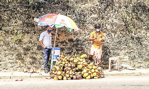 വേനല്‍ചൂടിൽ വേറിട്ട രുചിയുമായി പനനൊങ്ക് താരമാകുന്നു