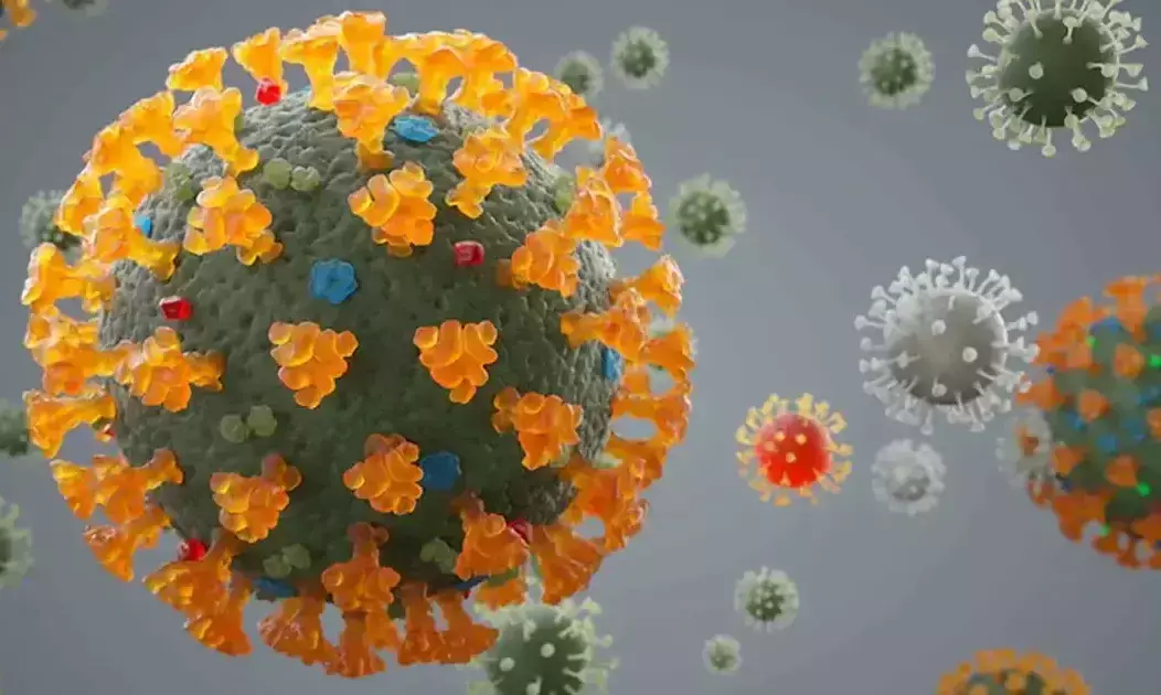 ബാധിക്കുന്ന മൂന്നിലൊരാൾ മരിക്കും; വരുന്നു നിയോകോവ്, മുന്നറിയിപ്പുമായി വുഹാൻ ശാസ്ത്രജ്ഞർ ബാധിക്കുന്ന മൂന്നിലൊരാൾ മരിക്കും; വരുന്നു നിയോകോവ്, മുന്നറിയിപ്പുമായി വുഹാൻ ശാസ്ത്രജ്ഞർ