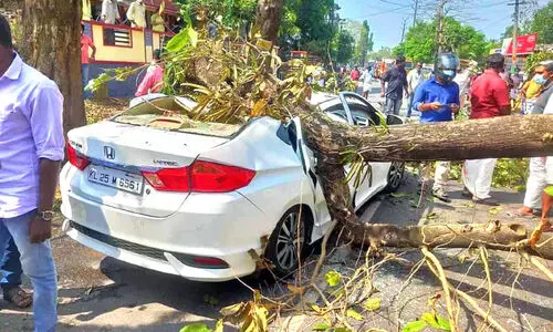 ഓടിക്കൊണ്ടിരുന്ന കാറിൽ മരക്കൊമ്പ്​ വീണ്​ യാത്രികക്ക്​ പരിക്ക്