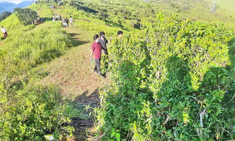 കോവിഡ് വ്യാപനത്തിലും പൂക്കുന്നു മലയിലേക്ക് സന്ദർശകരുടെ ഒഴുക്ക് കോവിഡ് വ്യാപനത്തിലും പൂക്കുന്നു മലയിലേക്ക് സന്ദർശകരുടെ ഒഴുക്ക്