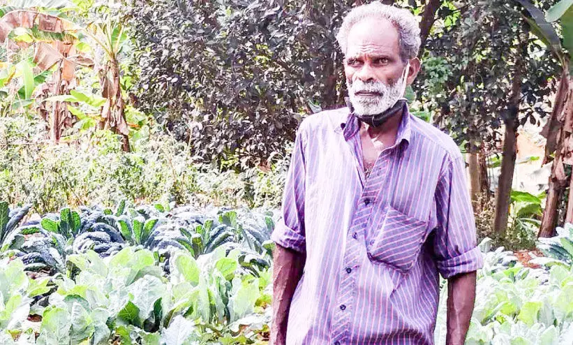 Narayanan grows vegetables