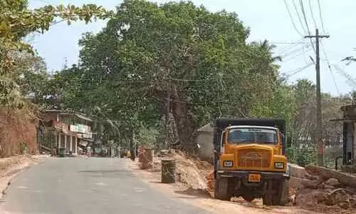 നാട്ടുകാരുടെ പ്രിയപ്പെട്ട തണൽ മരം ഓർമയാകുന്നു