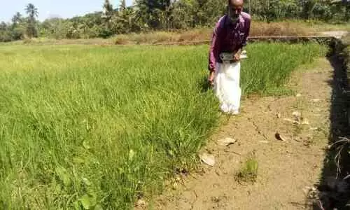 കനാൽ തുറക്കാൻ മുഖ്യമന്ത്രിക്ക് നിവേദനം
