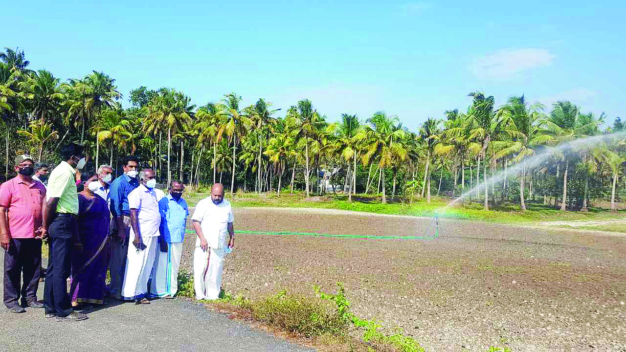 ശ്രീരാമൻചിറയിൽ റെയിൻ ഗൺ ഉപയോഗിച്ച്  കൃഷി നനക്കലിന്​ തുടക്കം