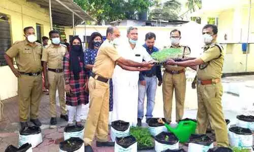 ഇൻസ്റ്റിറ്റ്യൂഷനൽ ബേസിക് പദ്ധതി