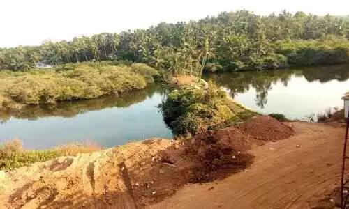 തണ്ണീർത്തടങ്ങൾ മണ്ണിട്ട് നികത്തിയ നിലയിൽ