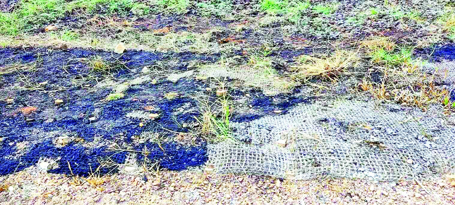 സാമൂഹിക വിരുദ്ധരുടെ തീയിടൽ;   ലക്ഷങ്ങളുടെ ഭൂവസ്ത്രം കത്തി നശിക്കുന്നു