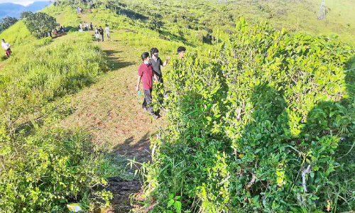 കോവിഡ് വ്യാപനത്തിലും പൂക്കുന്നു മലയിലേക്ക് സന്ദർശകരുടെ ഒഴുക്ക്