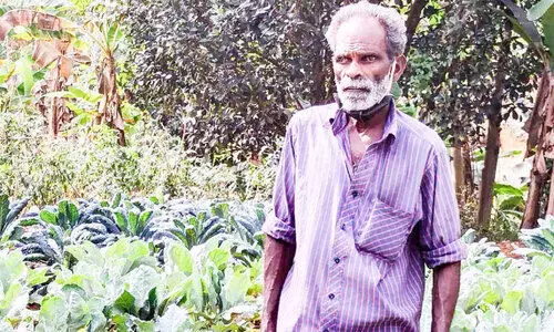Narayanan grows vegetables Narayanan grows vegetables