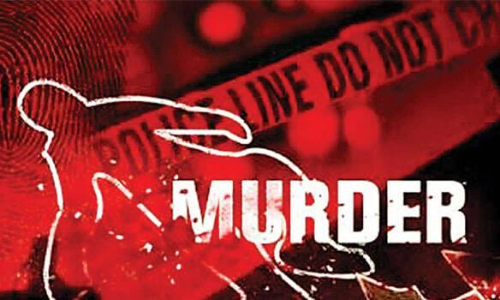 മൂളിത്തോട് അമ്മയുടെയും ഗർഭസ്ഥ ശിശുവി‍ന്‍റെയും മരണം കൊലപാതകം; ജ്യൂസിൽ വിഷം കലർത്തി