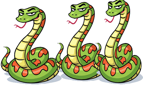 കോട്ടയത്ത് രണ്ടുമാസത്തിനിടെ ബാഗിലായത്​ 113 പാമ്പുകൾ