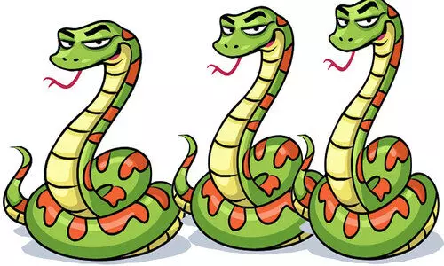 കോട്ടയത്ത് രണ്ടുമാസത്തിനിടെ ബാഗിലായത്​ 113 പാമ്പുകൾ