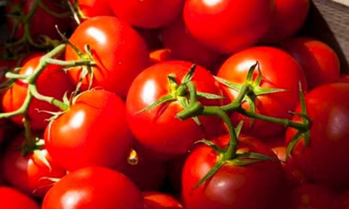 പഴുത്ത തക്കാളി വിഷാദത്തെ ചെറുക്കും