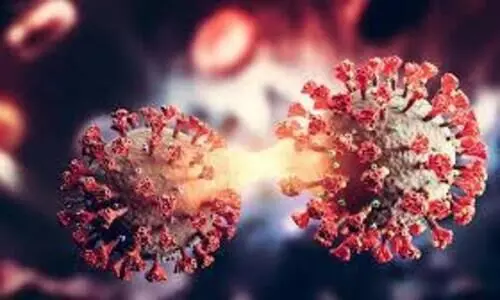 ഒമിക്രോണിന്‍റെ അടുത്ത ബന്ധുവിനെ സൂക്ഷിക്കണമെന്ന് വിദഗ്ധർ; കേസുകൾ വർധിക്കുന്നു