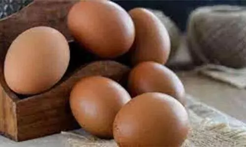 eggs