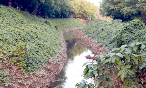 ഇടതുകര കനാലിലെ ജലവിതരണം അവതാളത്തിൽ