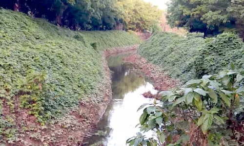 ഇടതുകര കനാലിലെ ജലവിതരണം അവതാളത്തിൽ