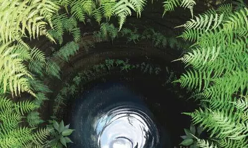 തന്തക്കിണർ -കഥ