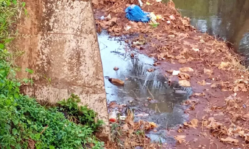 കല്ലടയാർ മലിനം; ഇടപെടാതെ അധികൃതർ കല്ലടയാർ മലിനം; ഇടപെടാതെ അധികൃതർ