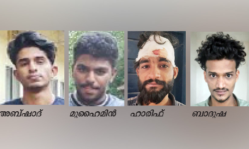 മയക്കുമരുന്നും കഞ്ചാവുമായി നാലു യുവാക്കൾ പിടിയിൽ