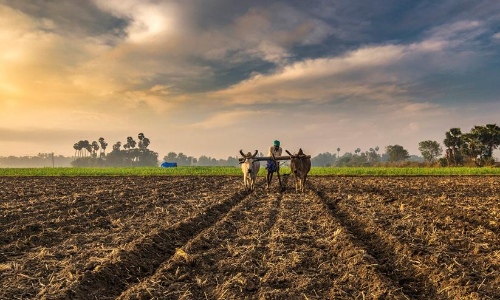 Union budget 2022 Attempt to placate farmers