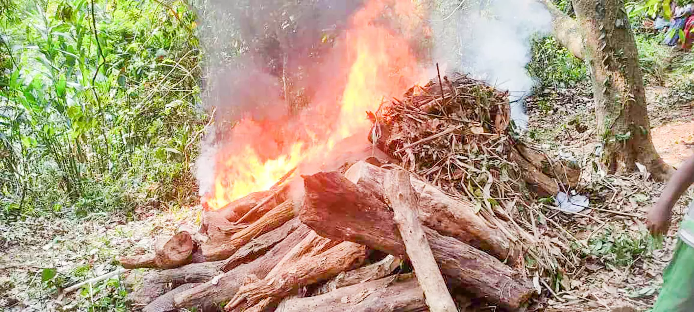 ചെരിഞ്ഞനിലയില്‍ കണ്ട കാട്ടാനയുടെ ജഡം സംസ്കരിച്ചു