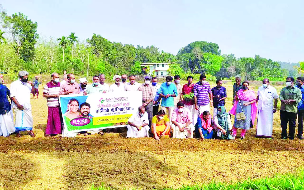 വിഷരഹിത പച്ചക്കറിയുമായി സഹകരണ ബാങ്ക്