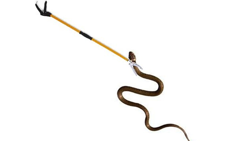 snake catcher