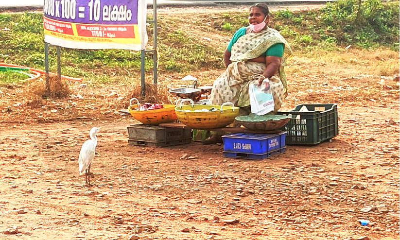 ഇവിടെ മീൻ വിൽക്കണമെങ്കിൽ കൊതുകുകടിയേൽക്കണം