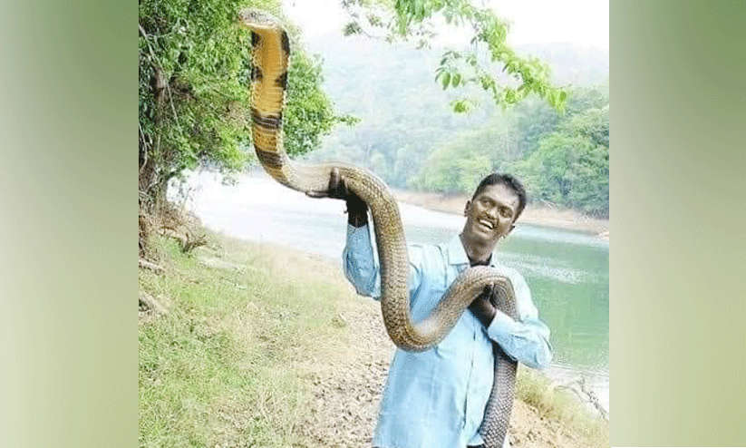 വാവ സുരേഷിനെ കുറ്റപ്പെടുത്തുന്നവരേ, ഒരു നിമിഷം! വാവ സുരേഷിനെ കുറ്റപ്പെടുത്തുന്നവരേ, ഒരു നിമിഷം!