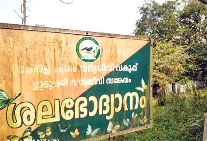 Gardening On the verge of destruction