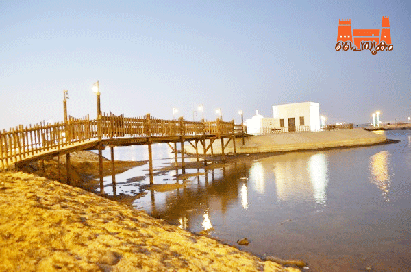 പഴമയുടെ പ്രൗഢിയിൽ ജീസാനിലെ പൈതൃകഗ്രാമം