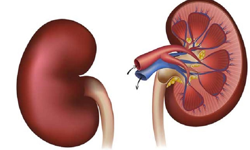 വീടുകളില്‍ സൗജന്യ ഡയാലിസിസ് പദ്ധതി 11 ജില്ലകളിൽ
