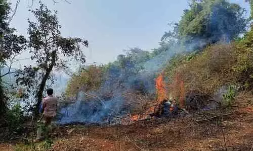 പള്ളി ശ്മശാനത്തിൽ അഗ്നിബാധ