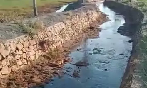 വെള്ളമില്ല; കാരിക്കുഴി പാടശേഖരത്തെ കർഷകർ പ്രതിസന്ധിയിൽ വെള്ളമില്ല; കാരിക്കുഴി പാടശേഖരത്തെ കർഷകർ പ്രതിസന്ധിയിൽ