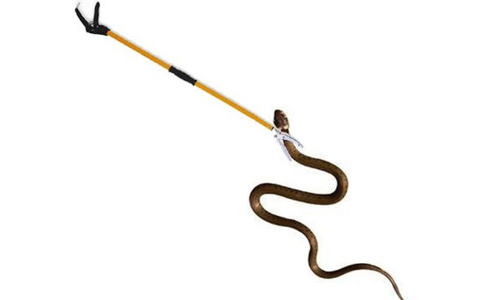 snake catcher