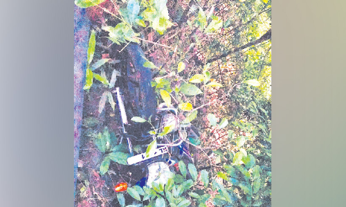 കളവുപോയ ബൈക്ക് ചുരത്തിൽ ഉപേക്ഷിക്കപ്പെട്ട നിലയിൽ