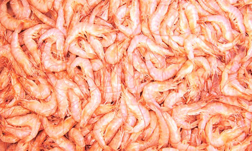 ചെ​മ്മീ​ൻ ട്രോ​ളി​ങ്ങി​നും വി​ൽ​പ​ന​ക്കും നി​രോ​ധ​നം